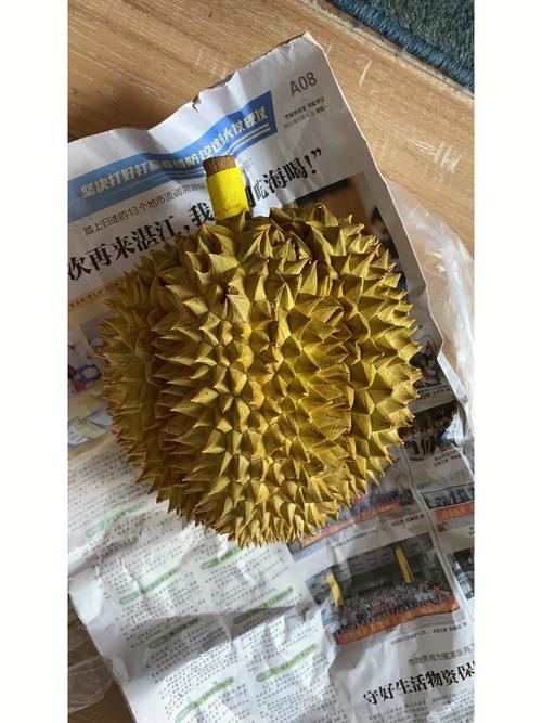 澳彩77749.cσm查询开奖和榴莲又便宜了与榴莲便宜了喂猪