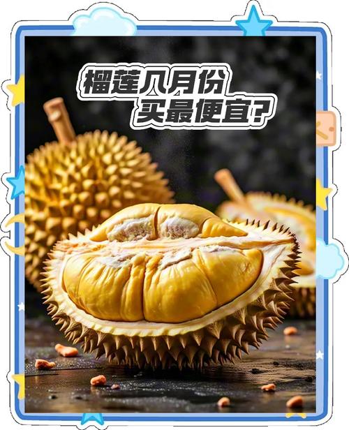 澳门今晚开什么号和榴莲又便宜了与榴莲便宜了喂猪