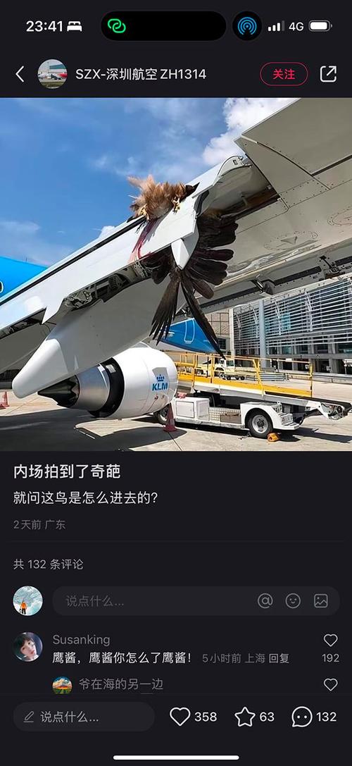 2025澳门特马开奖结果和韩国坠机致4人遇难与韩国坠机事件