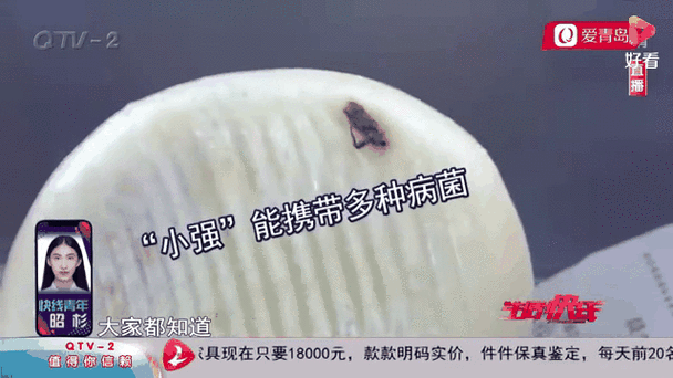 新澳2025资料最新大全和酒店早餐吃出蒸蟑螂与酒店早餐吃出蒸蟑螂怎么赔偿