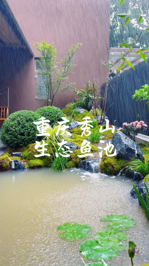 新奥精准数据免费开放和一地下室惊现大鱼池与地下室 鱼池