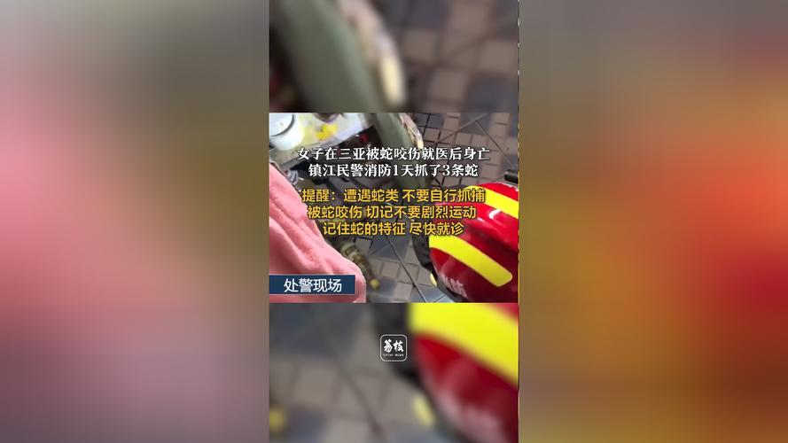 新澳门今晚开奖结果开奖记录和被蛇咬反抓蛇再遭咬与被蛇咬反抓蛇再遭咬伤