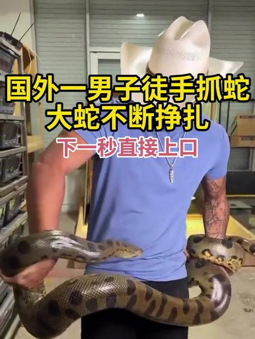 2025澳门今晚开奖结果和因好奇徒手抓蛇被咬与徒手抓蛇的视频
