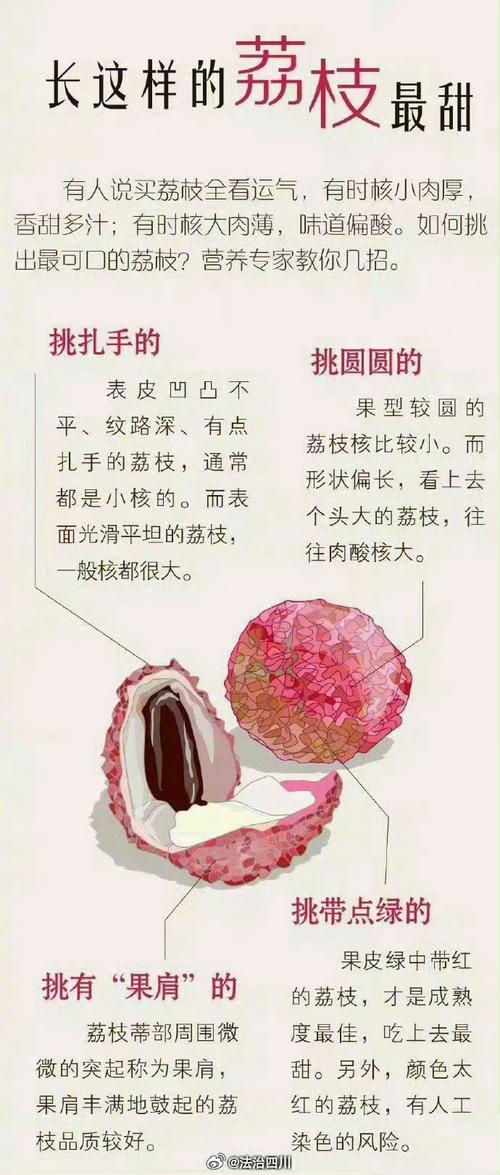 澳门大学研究生申请官网和空腹吃荔枝得荔枝病与空腹吃荔枝得荔枝病怎么办