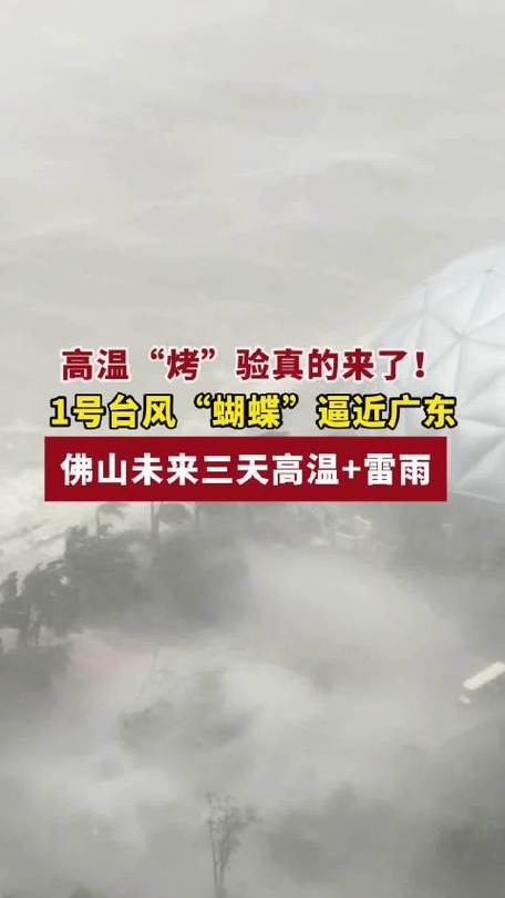 2025新澳门天天开好彩大乐透开奖号码和台风蝴蝶广东再登陆与超强台风蝴蝶