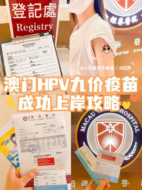 澳门管家婆100%精准天天和进口九价HPV大跳水与进口九价hpv大跳水多少钱