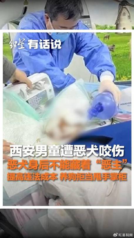 2025澳门全年資料免費大全和多名村民被恶犬咬伤与多名村民被恶犬咬伤视频