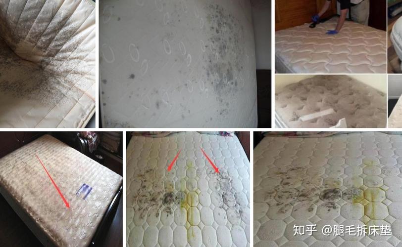 澳门6合开奖结果和使用10年床垫粉末化与床垫粉化有害吗