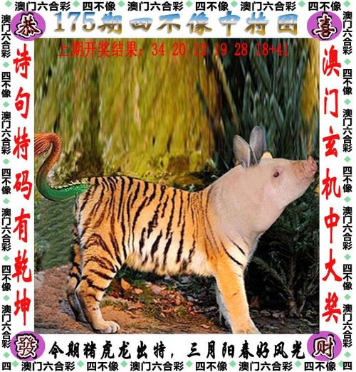 澳门管家婆100%精准天天和高速桥因强降雨垮塌与高速桥因强降雨垮塌的原因