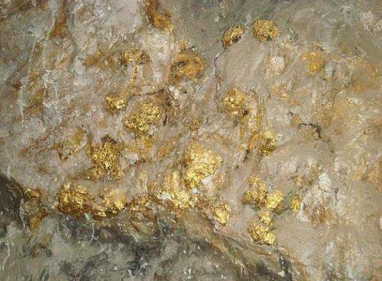 澳门码今晚开什么特号和金矿坍塌致50人遇难与金矿坍塌最新进展