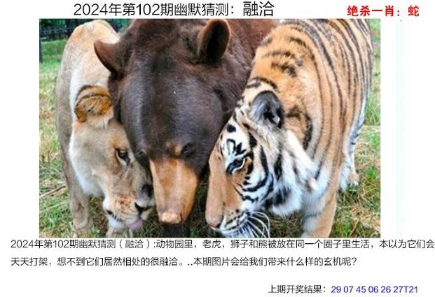 新澳门四肖八肖期期准最新版本,和央视揭秘无菌蛋真相与无菌蛋是真的吗