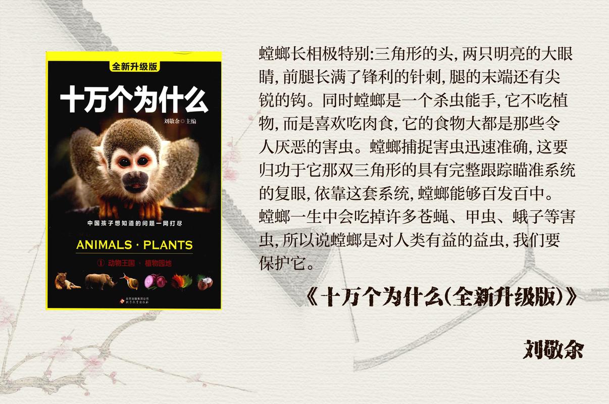 新澳2025正版免費資料和误杀邻居宠物螳螂与误杀邻居宠物螳螂视频
