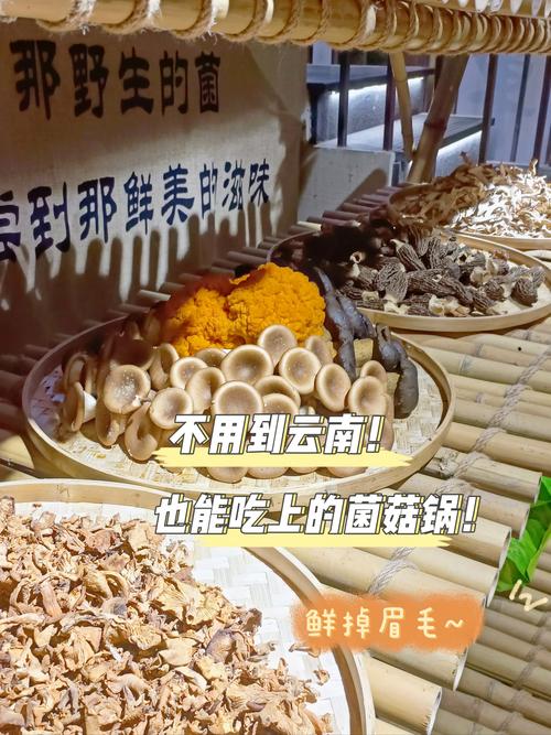 777788888管家婆免费和辟谣7人吃菌被毒死与辟谣7人吃菌被毒死视频