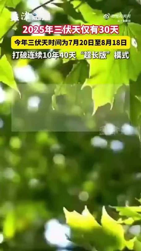 2025年天天彩资料大全和今年三伏只有30天与今年三伏只有30天吗为什么